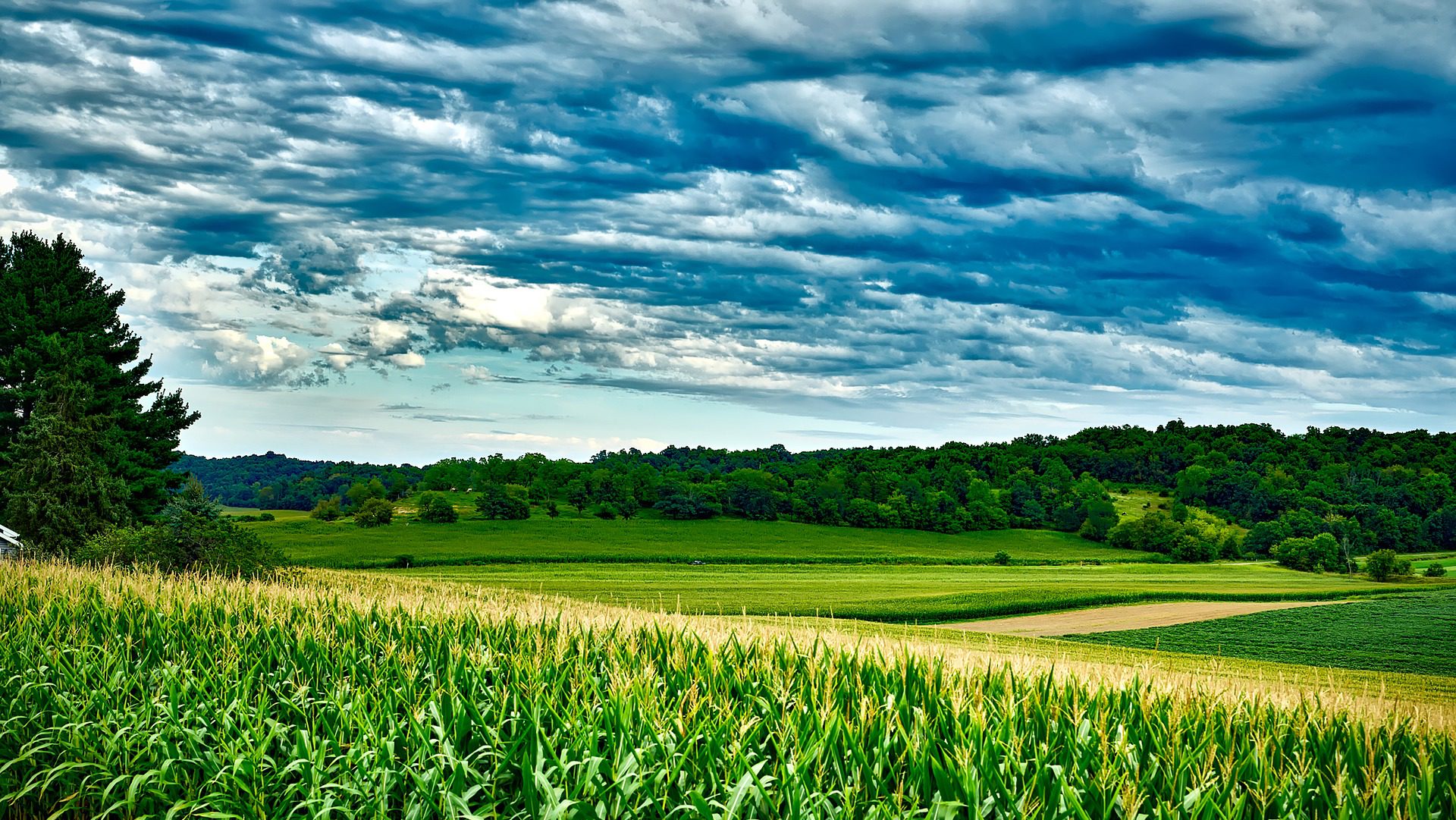 Biogasanlage Hehlen